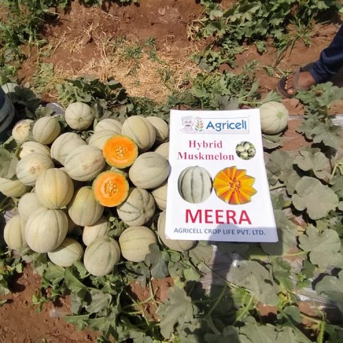 agricell-meera-img-1