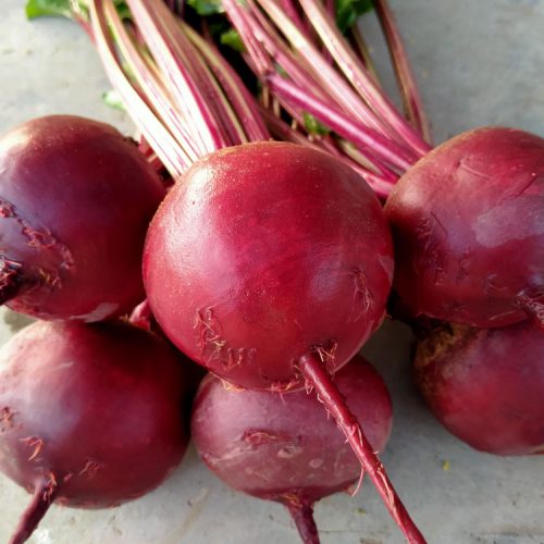 beetroot-img-1
